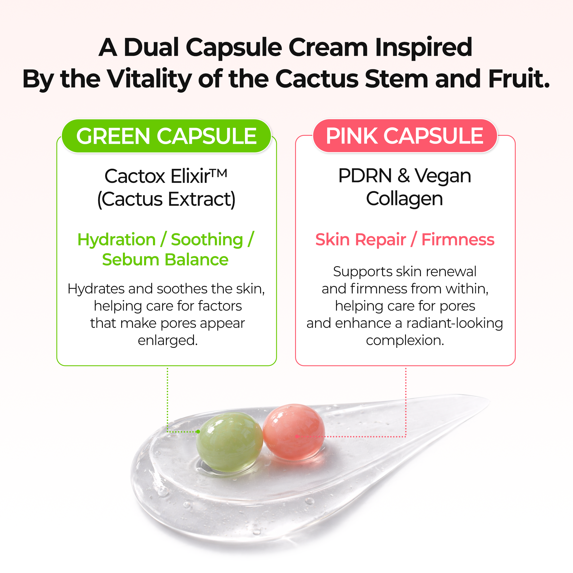 Cactox Pore Dual Capsule Cream