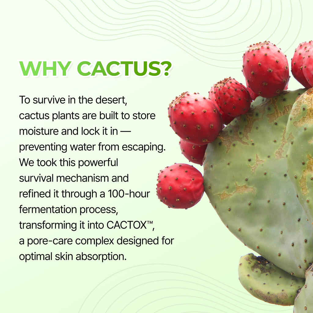 Cactox 3-Step Nose Mask Pack
